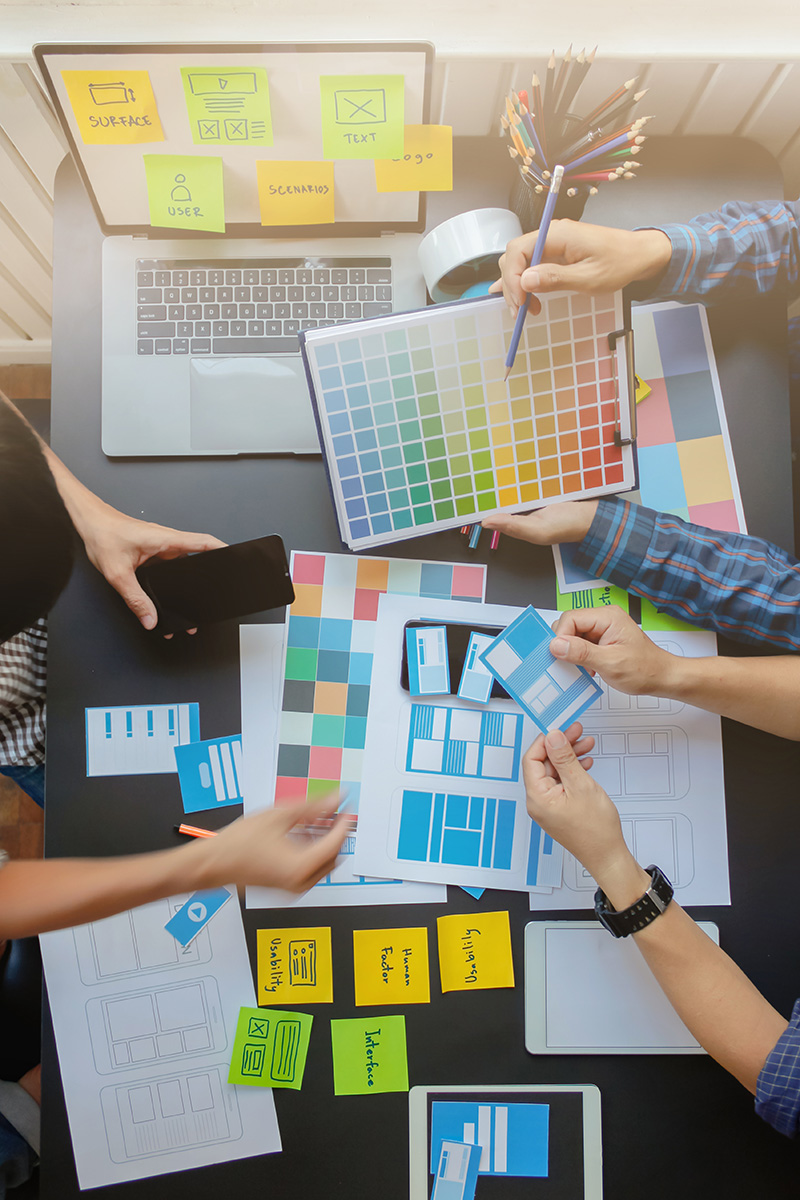 UX/UI Development